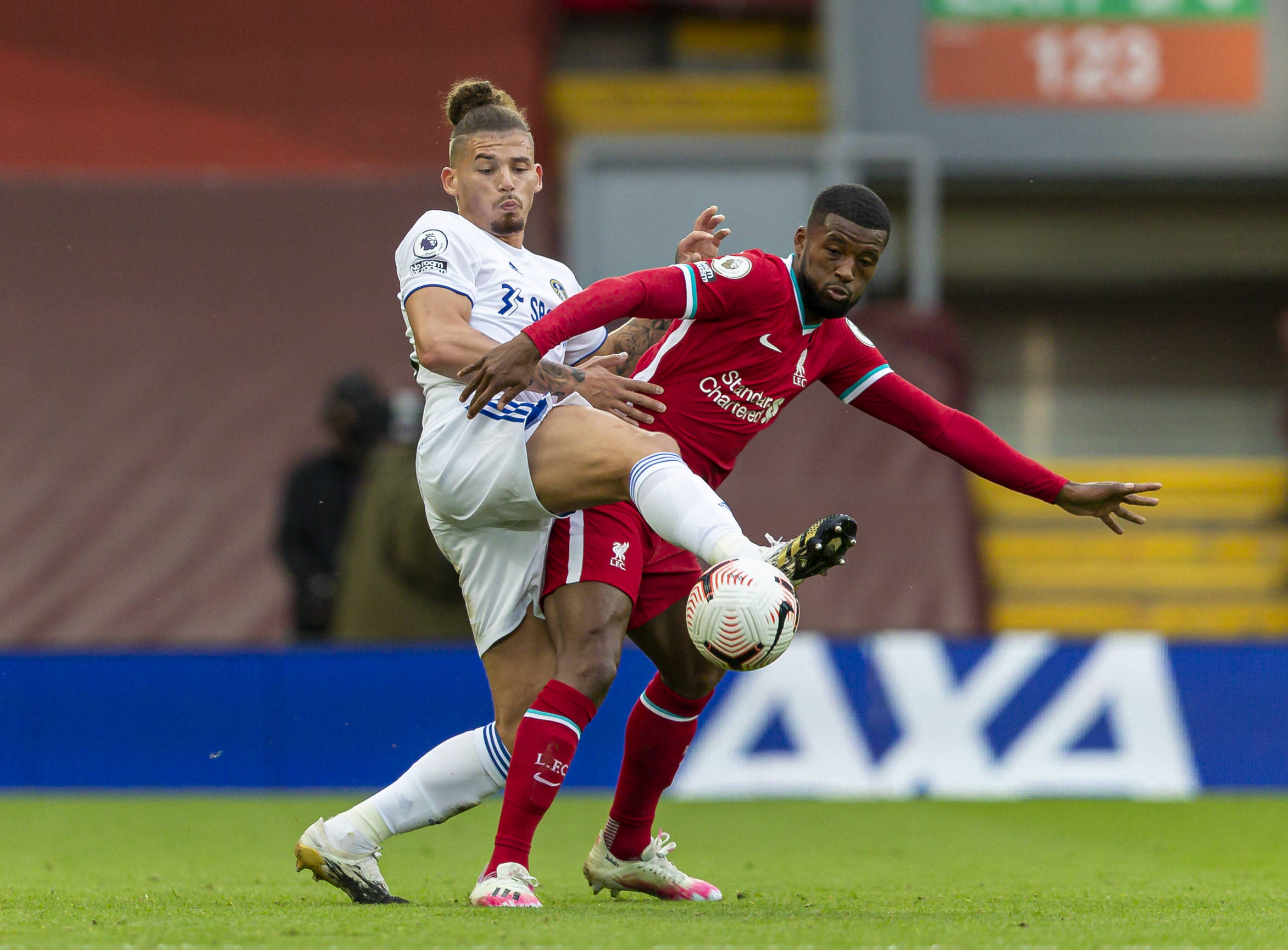 可能更需要 可能更需要